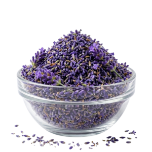 Lavender Flower