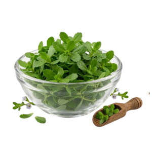 Brahmi Leaves